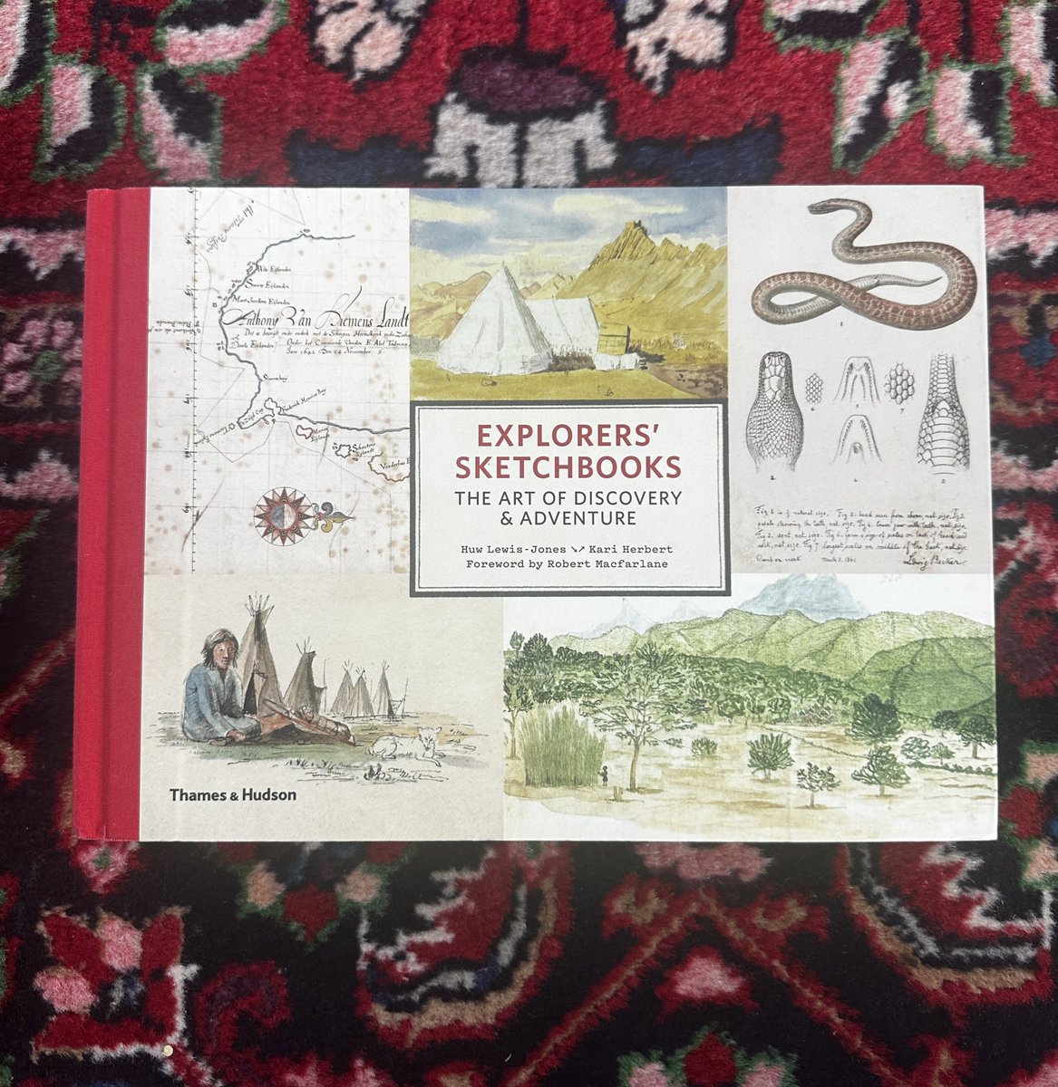 Anna Riedl tweet media