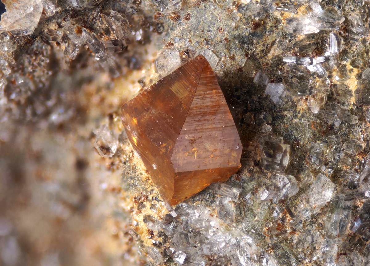 うぉるふら tweet media