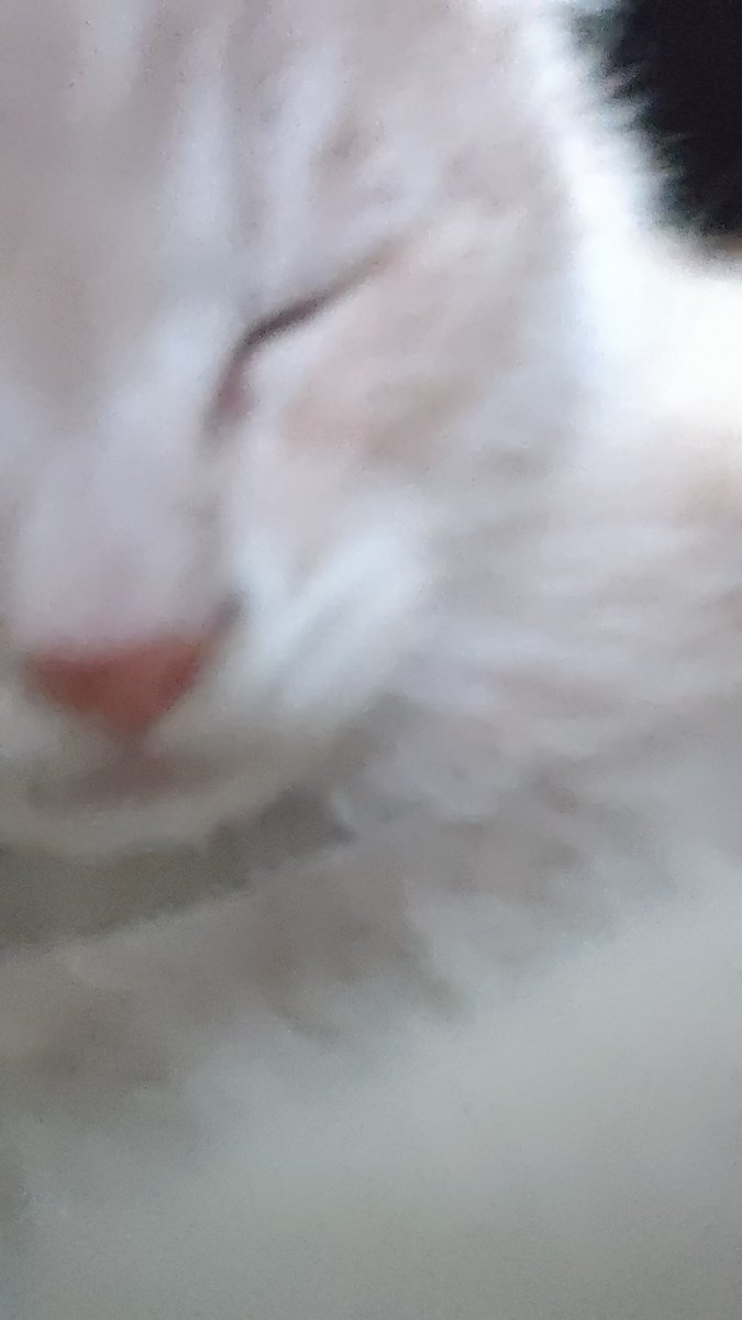 zhouyuyan tweet media