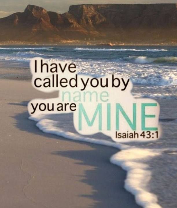 Tee Robins tweet media