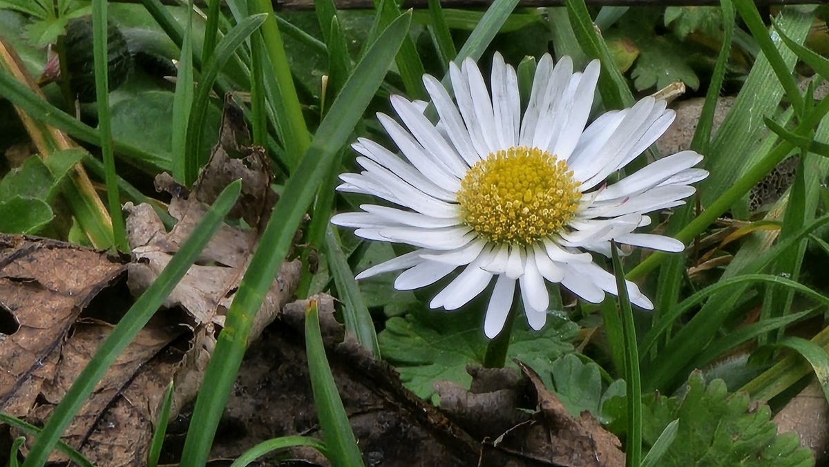 banantunder tweet media