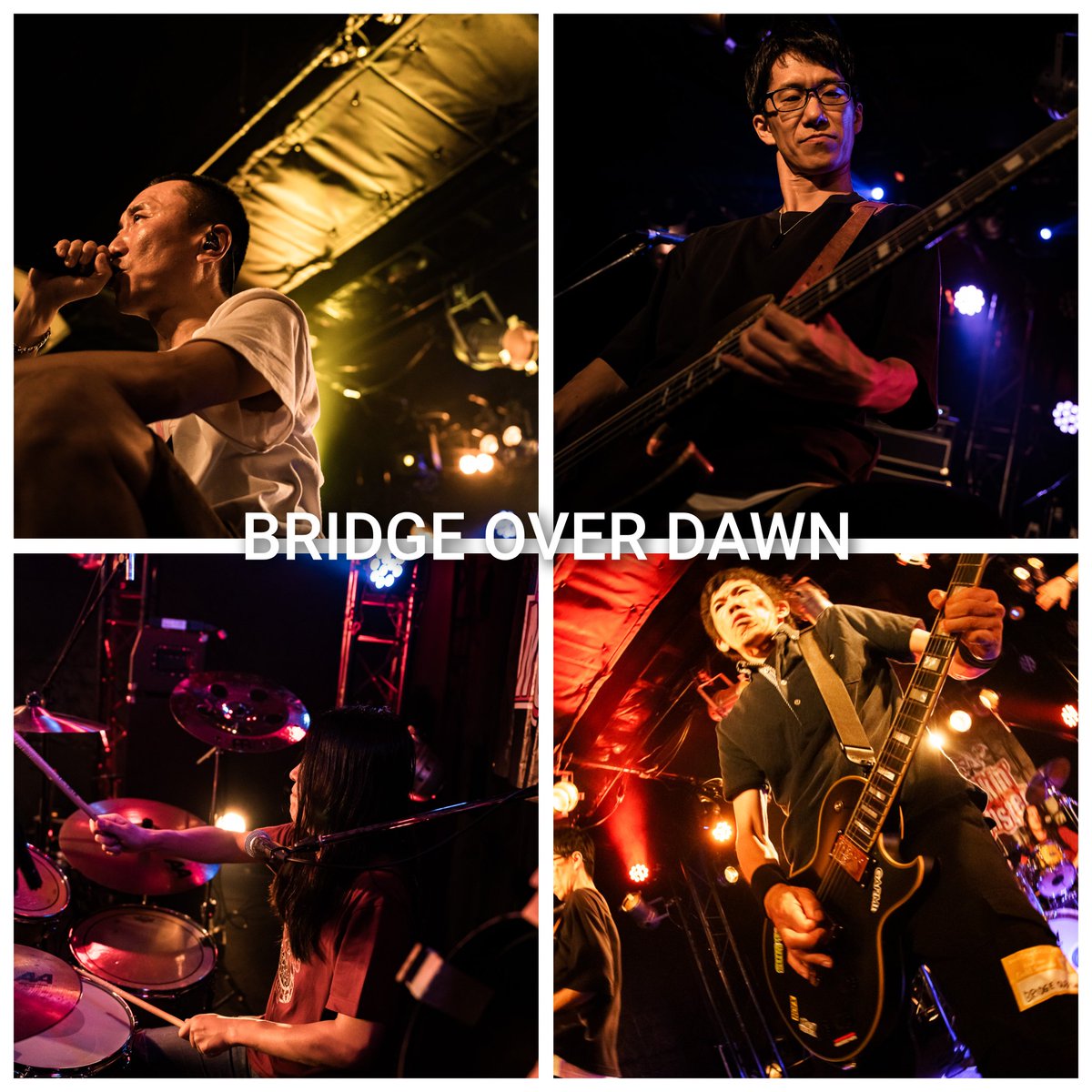 monkey-bod tweet media