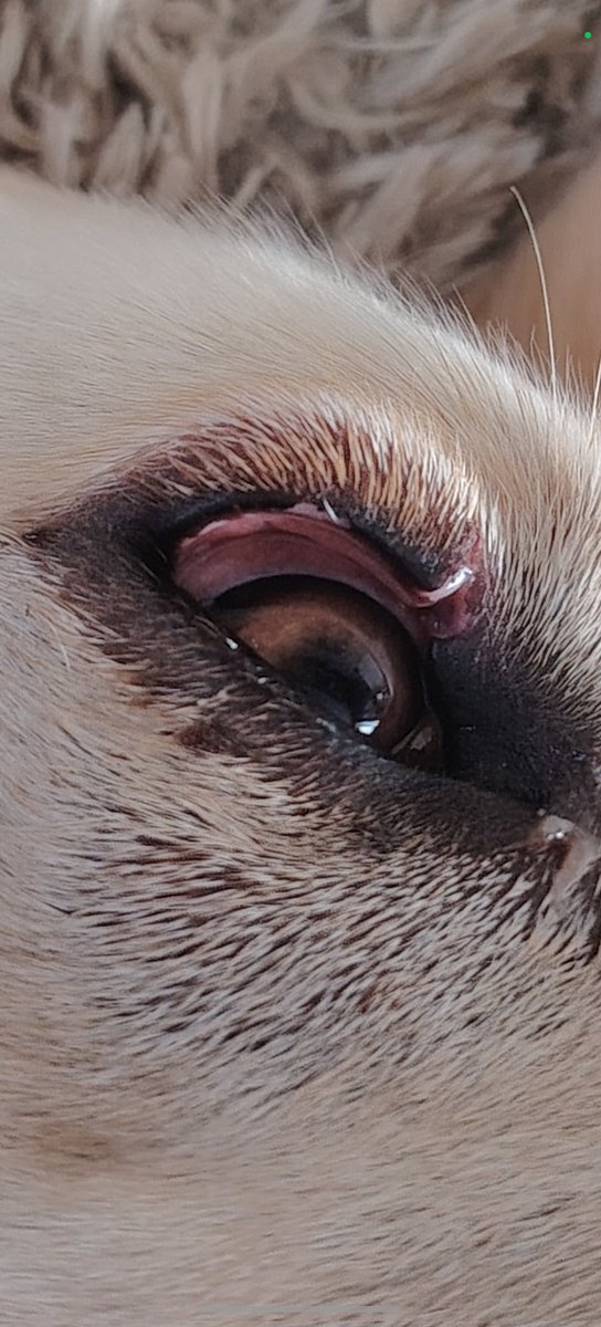 Kim Turner tweet media