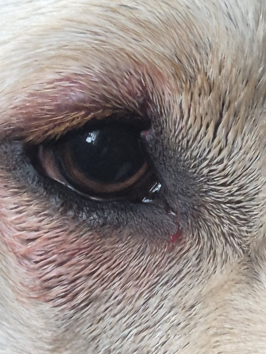 Kim Turner tweet media