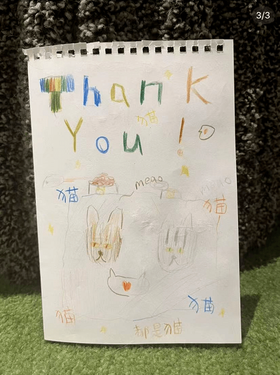 Amanda Chan tweet media