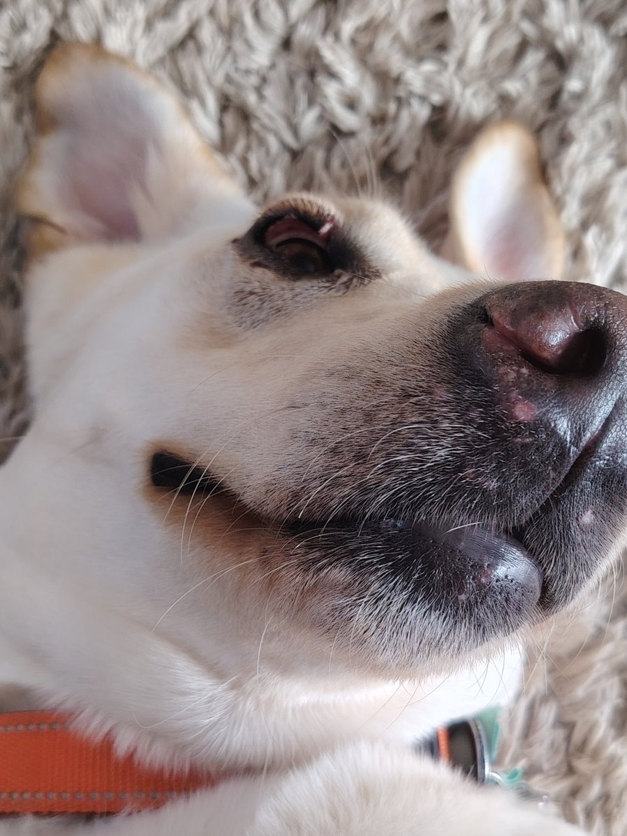 Kim Turner tweet media