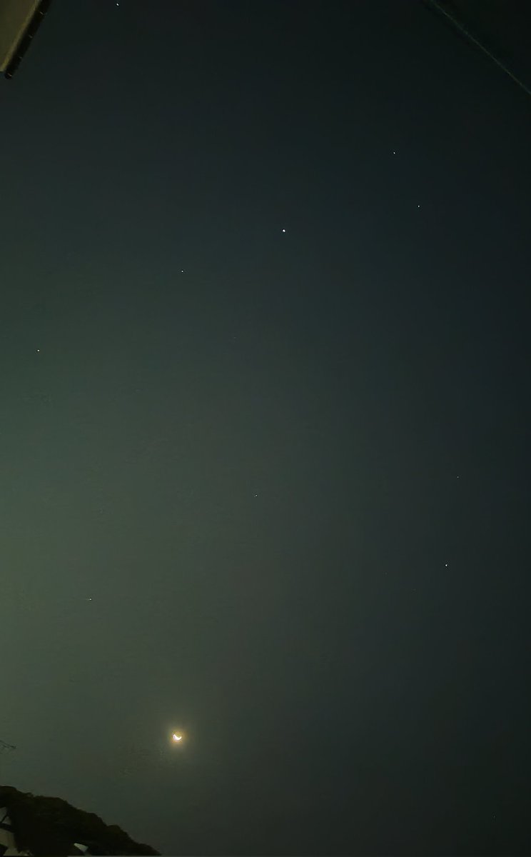 Me🐈‍⬛ ω⁠๑⁠lkinᕤαr๑⁠uηd 🌐 tweet media