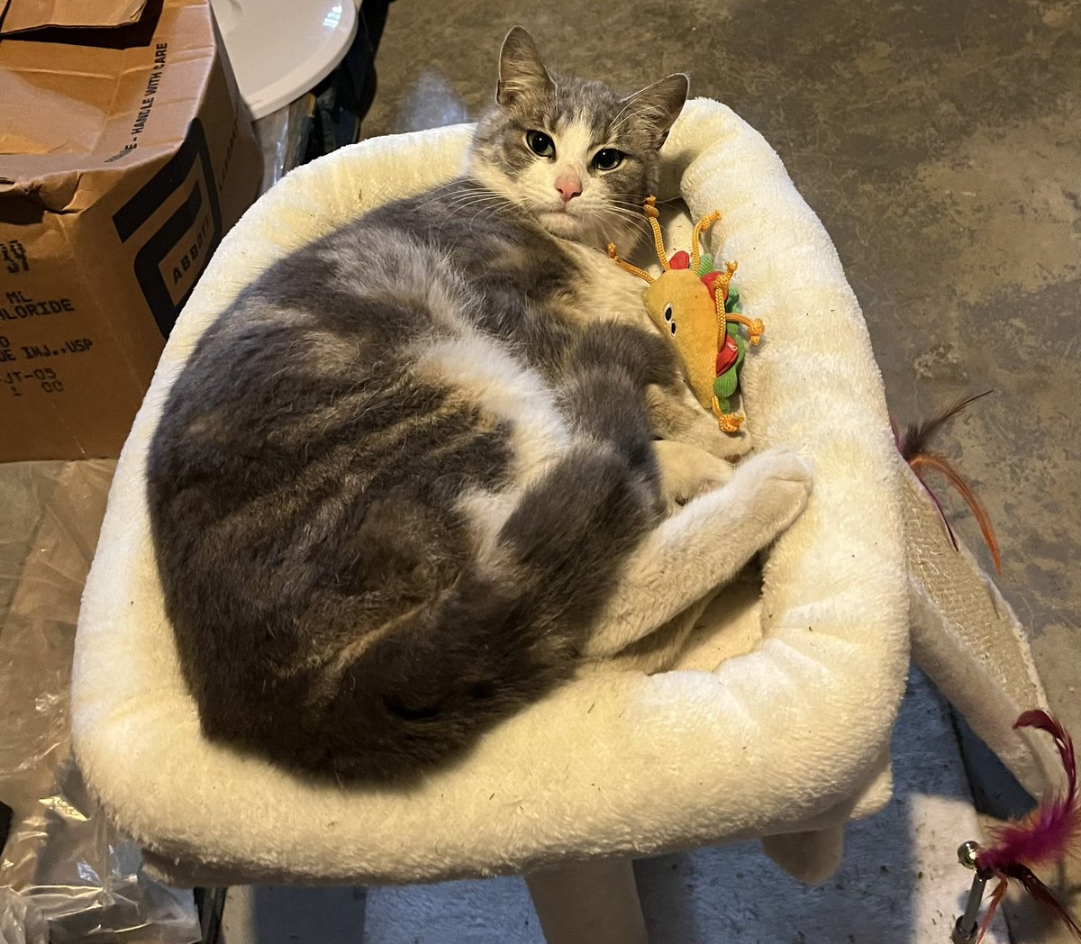 debbie 🏒⚾️🏈 tweet media