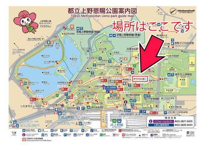 【MOESTA+】らじゃ太郎【モエスタ】 tweet media