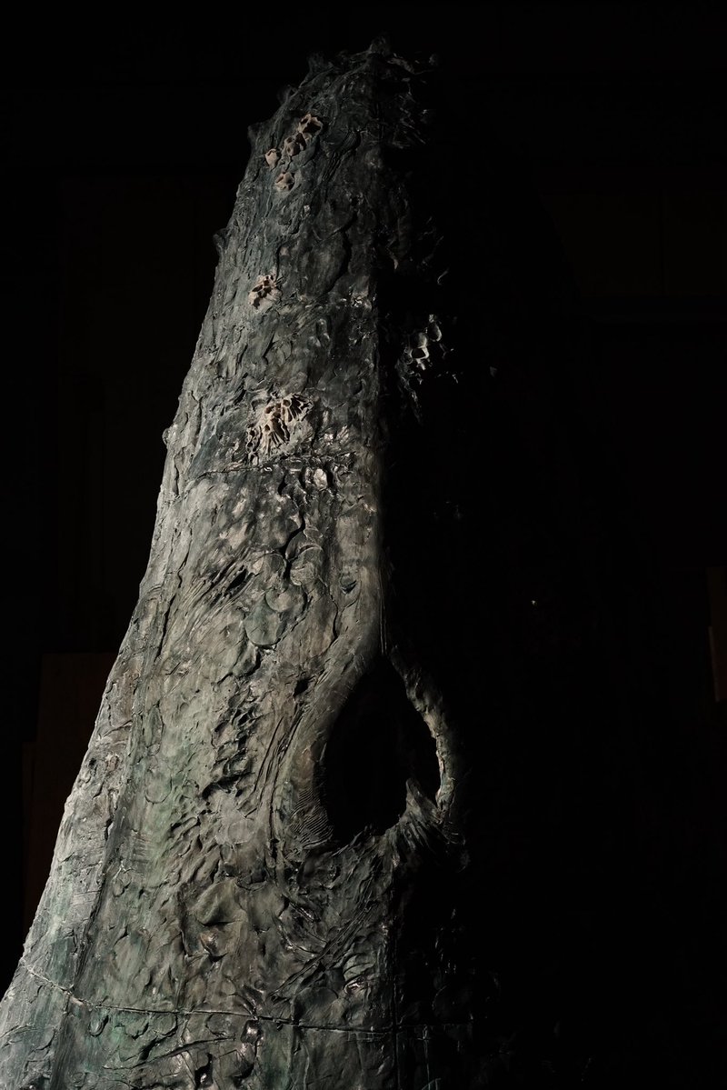 瀬戸 優 Yu Seto tweet media