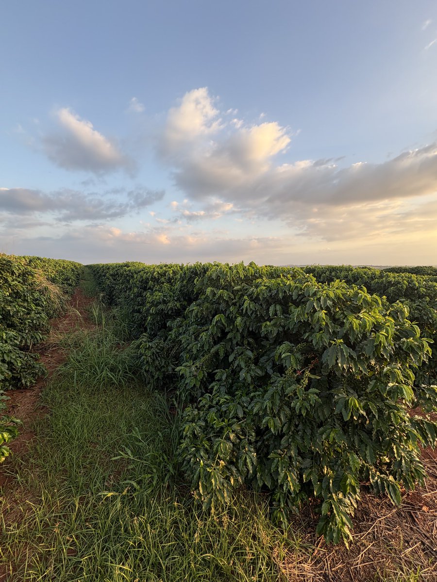 Agro Connection tweet media