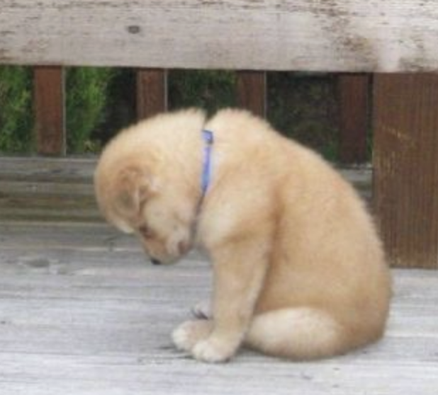 𝑖𝑛𝑔 tweet media