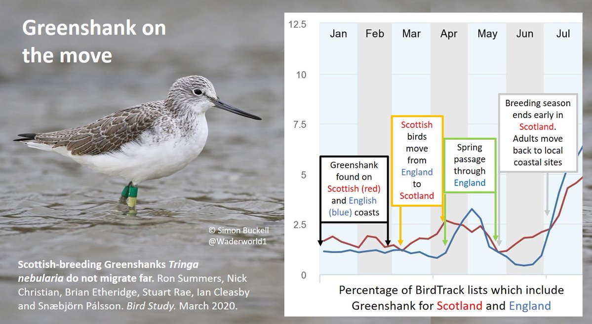 Graham Appleton tweet media