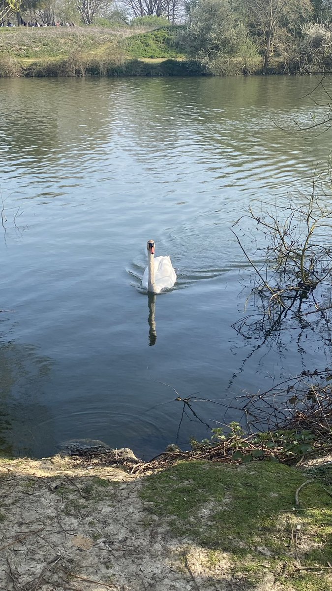 pinkxgun tweet media