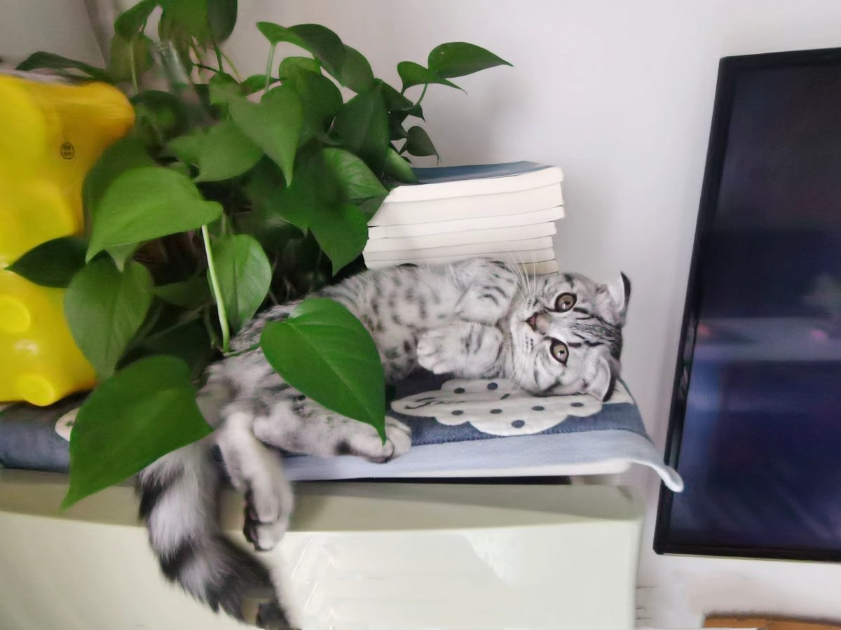 Bev McKenzie tweet media