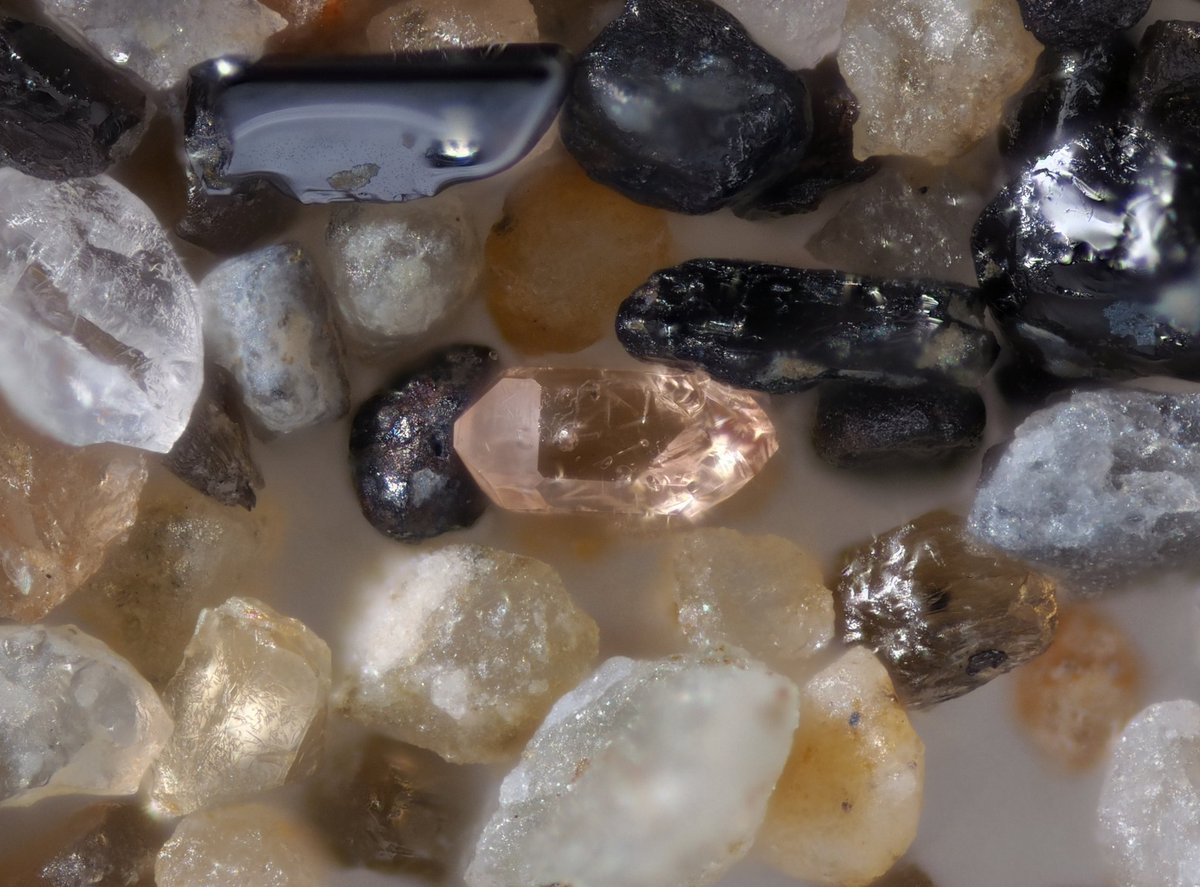 うぉるふら tweet media