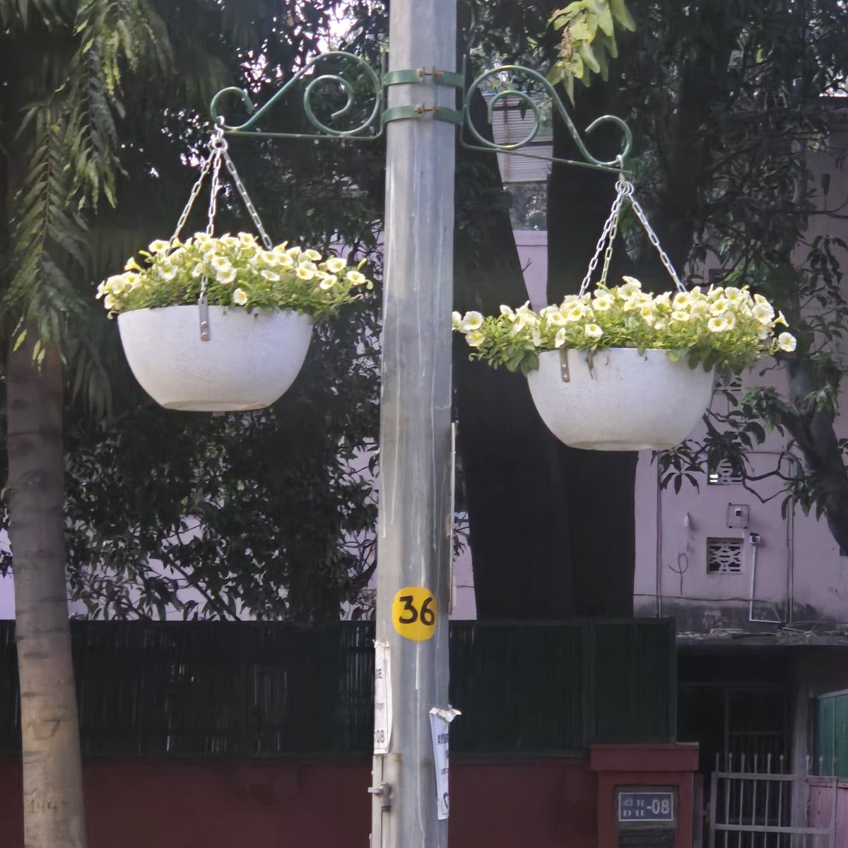 𝐃𝐫 𝐍𝐢𝐦𝐢𝐬𝐡 𝐑𝐮𝐬𝐭𝐚𝐠𝐢 tweet media