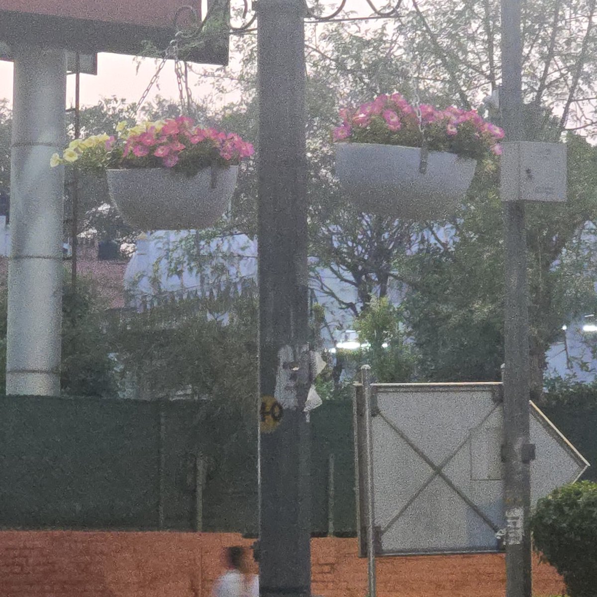 𝐃𝐫 𝐍𝐢𝐦𝐢𝐬𝐡 𝐑𝐮𝐬𝐭𝐚𝐠𝐢 tweet media