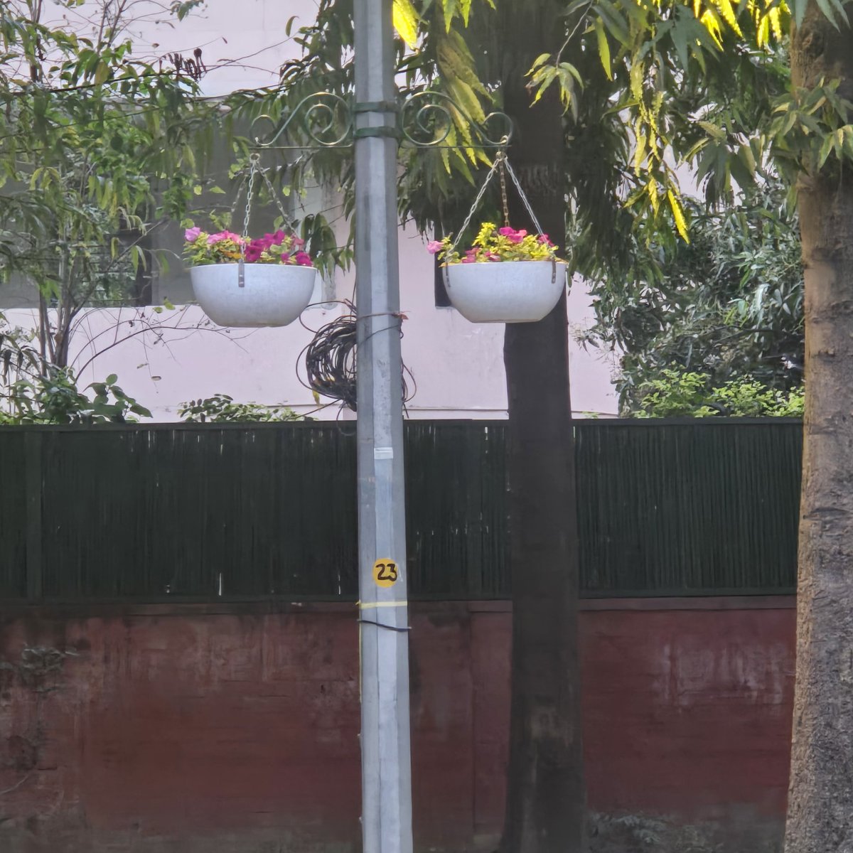 𝐃𝐫 𝐍𝐢𝐦𝐢𝐬𝐡 𝐑𝐮𝐬𝐭𝐚𝐠𝐢 tweet media