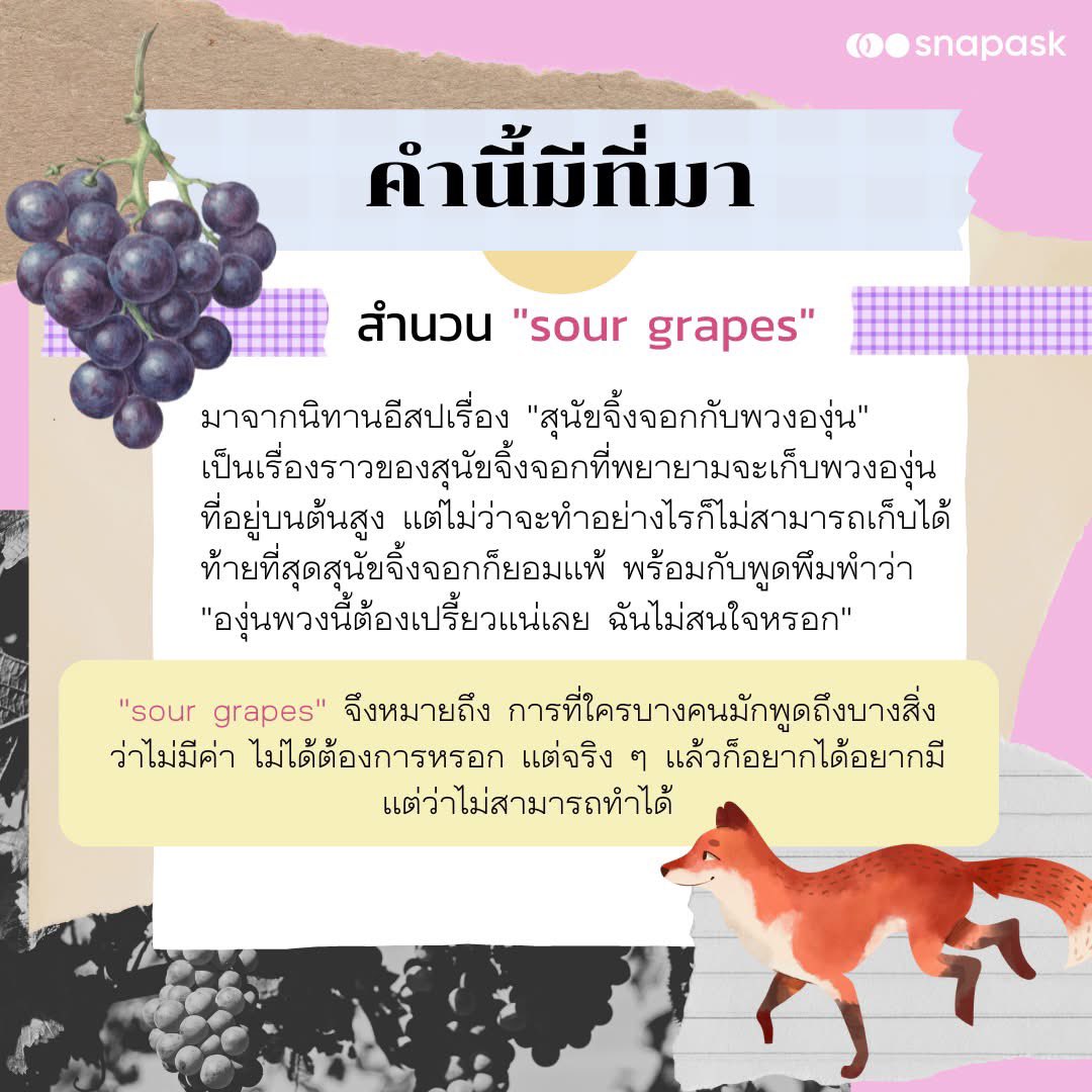 chiiiii🪢 tweet media