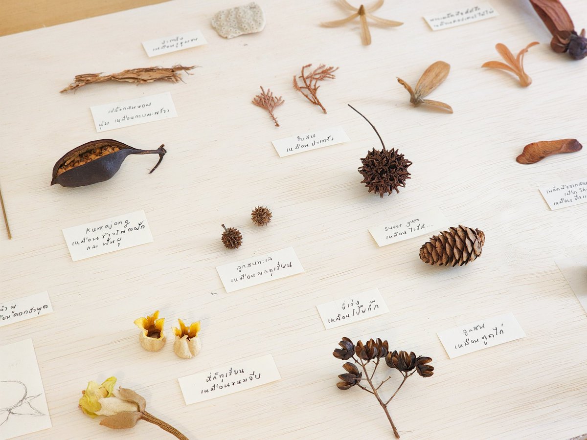 🍂 – rewilding tweet media