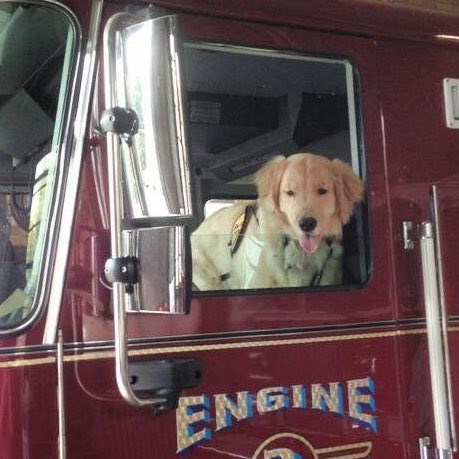 ceo of evan buckley tweet media