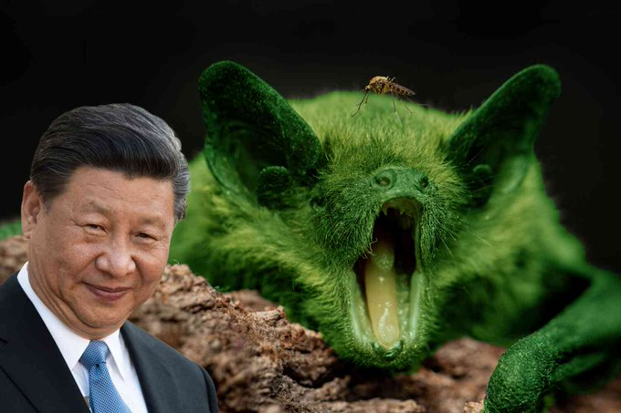 Owen Gregorian tweet media