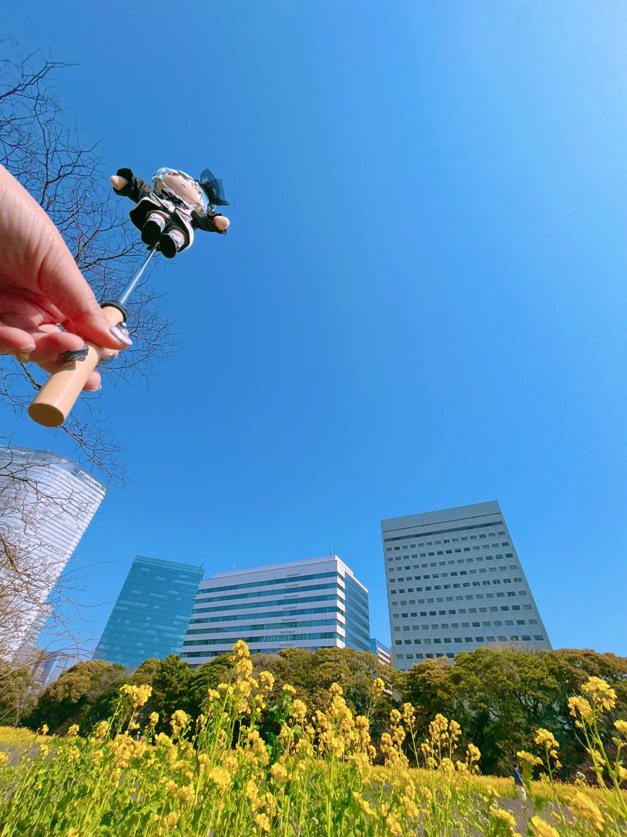 なんらかのはずみで撮れた空高く舞い上がる長ねちゃんがいた
それにしても雲ひとつない青空すぎる