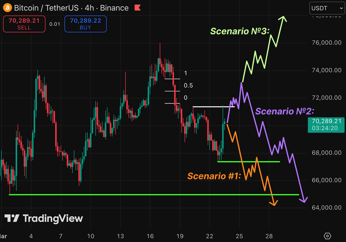 Aralez 🐕 tweet media