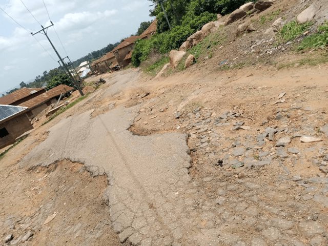 Harry Da Diegot tweet media