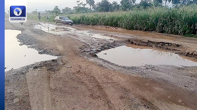 Harry Da Diegot tweet media