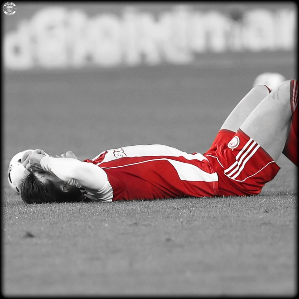 The Red Sea Podcast tweet media