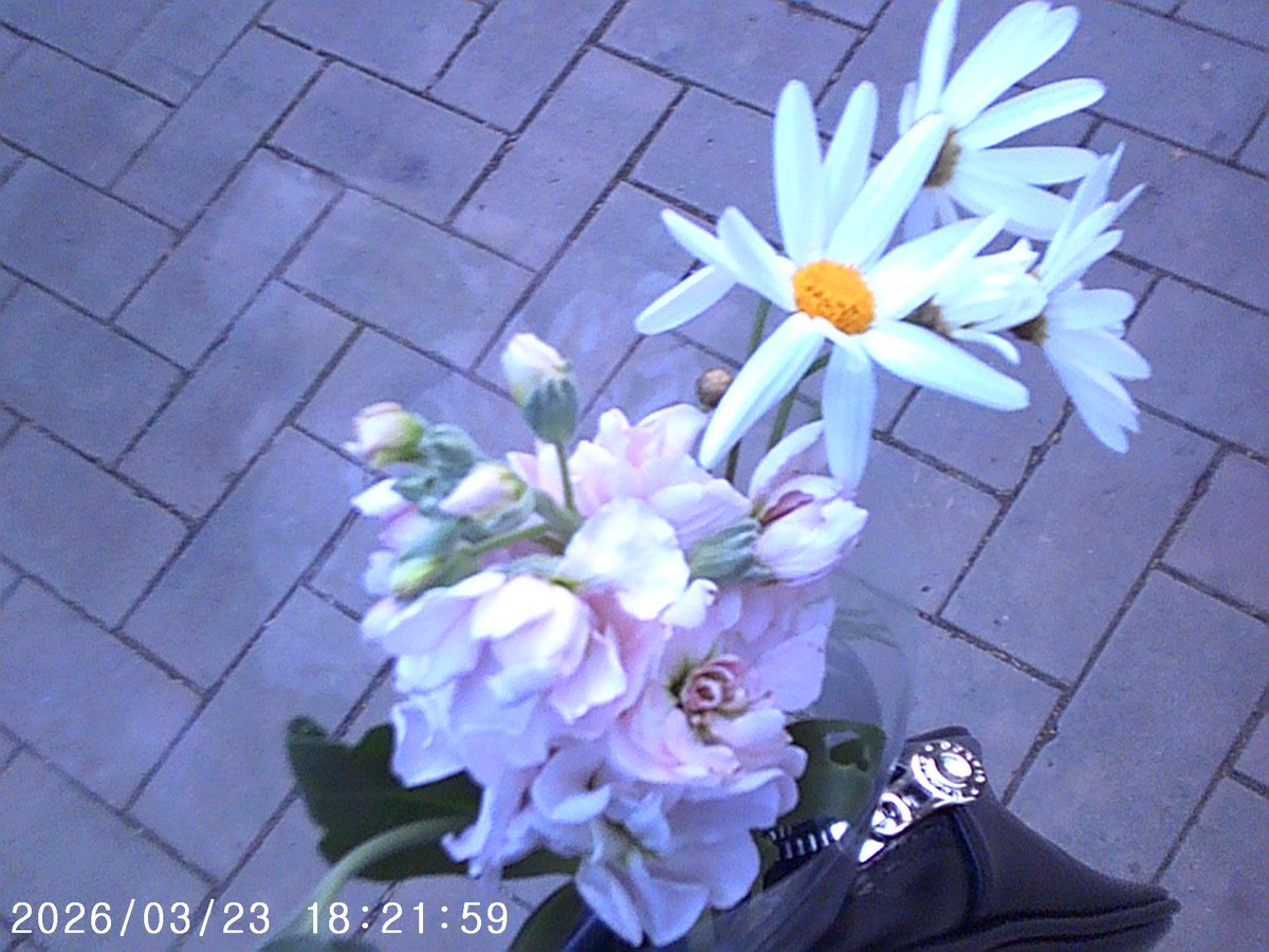 모코 tweet media