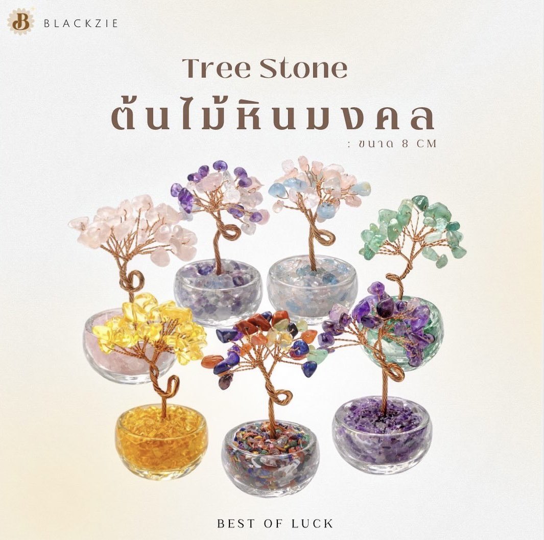 🌳#แจก ต้นไม้หินเสริมดวงตั้งโต๊ะ 🔮✨

🪞ตั้งแล้วปัง! เสริมพลังดี ๆ ทั้งความรัก การงาน การเงิน ชีวิตดีขึ้นแบบปังงๆ

✨รี+ ฟอล
✨อิโมจิที่ชอบที่ชอบค่า 𓍯