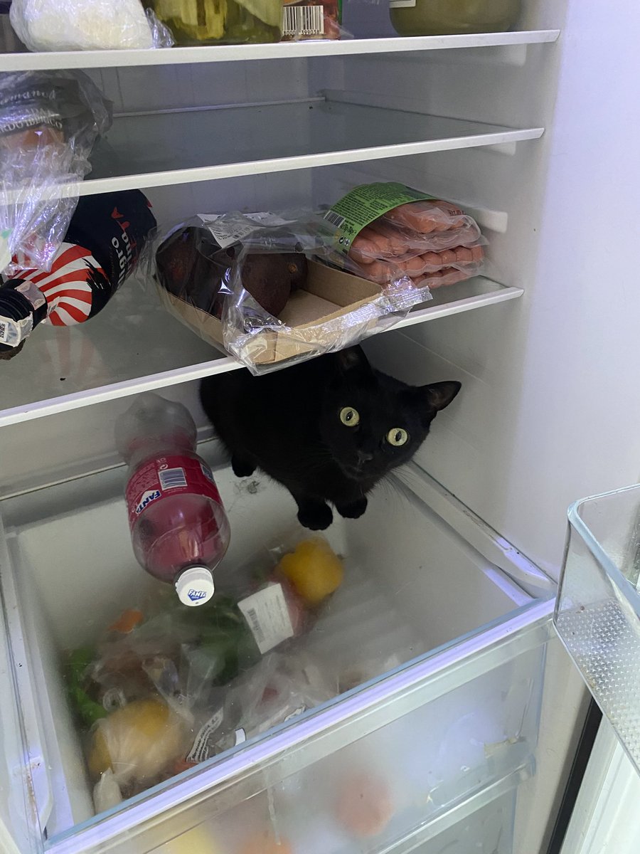 CdeCrispus's tweet photo. @grefusa Y como en toda casa siempre tiene que haber la oveja negra, ni una foto normal de esta loca tengo https://t.co/6uURCxr4a7