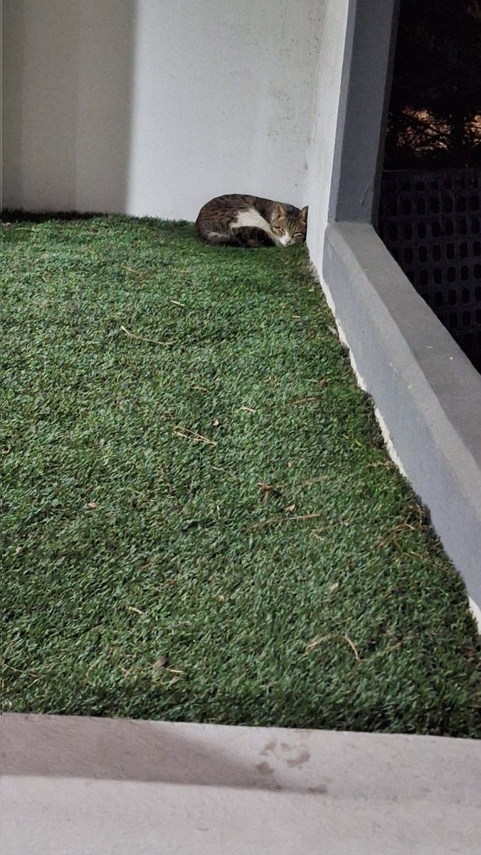 잡다한 tweet media