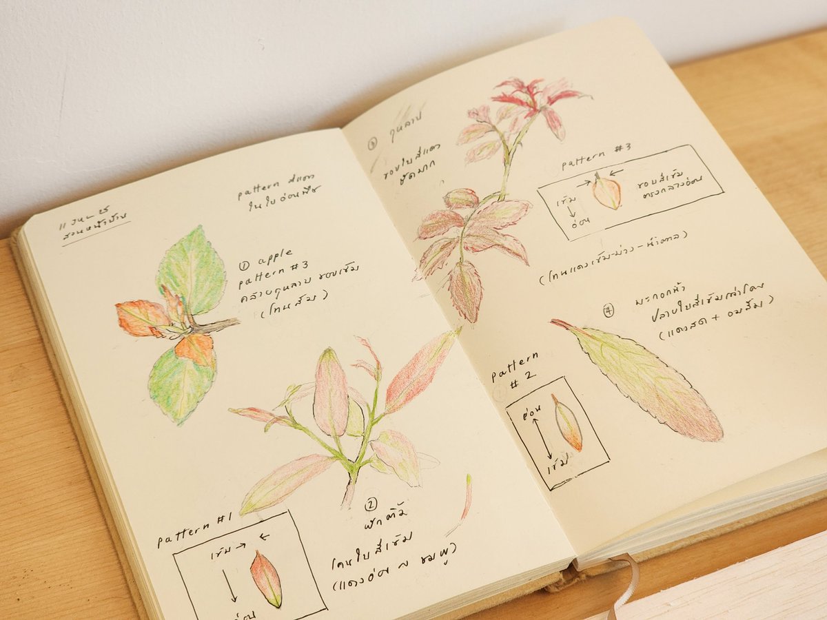 🍂 – rewilding tweet media