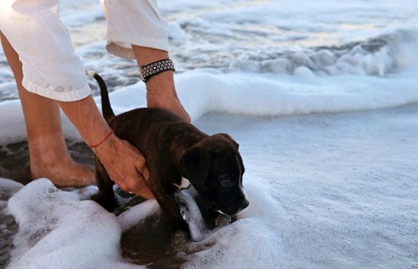 Visit St. Lucie tweet media