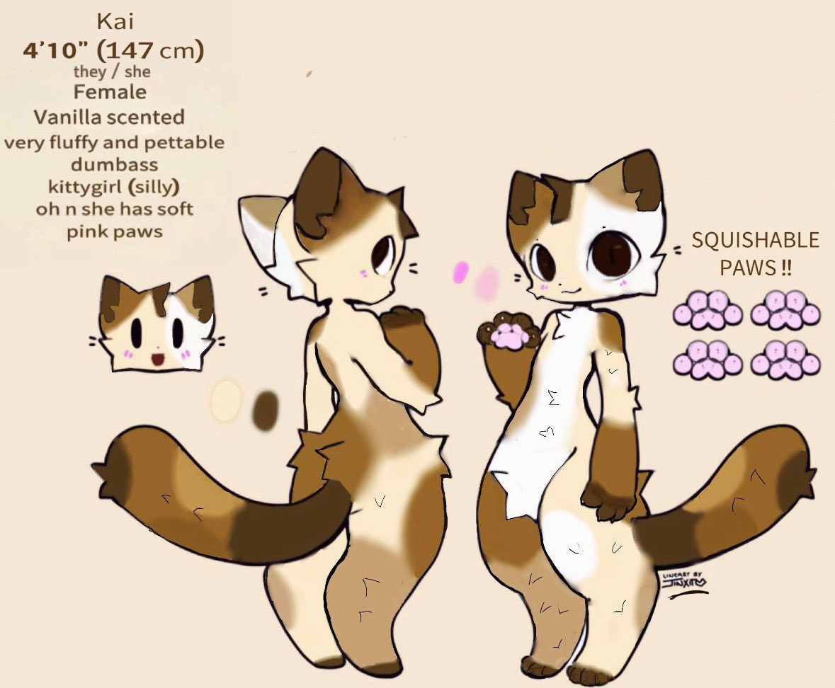 ⋆˚🎀˖° tweet media