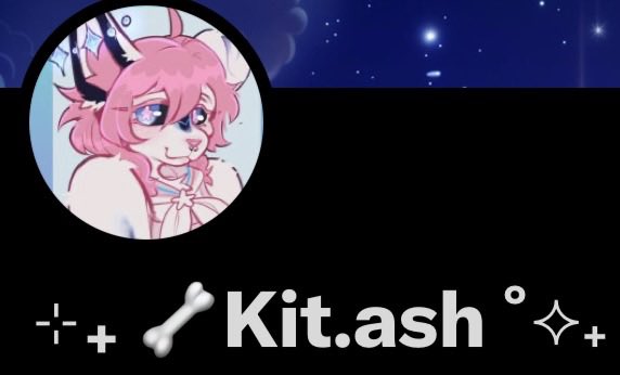⊹₊ 🦴Kit.ash ˚⟡˖ ࣪ tweet media