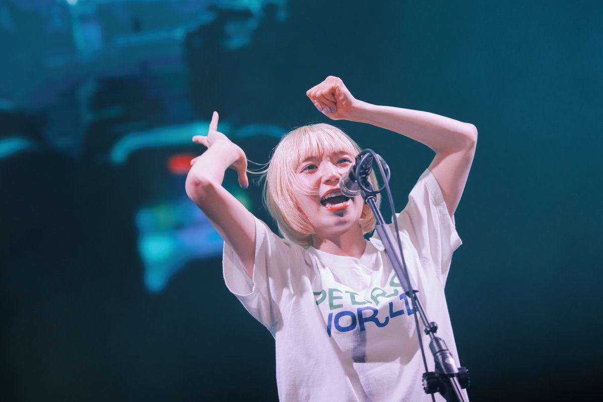 拍謝少年 Sorry Youth tweet media