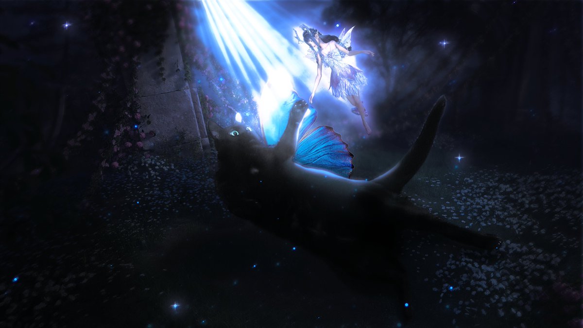 mallow ⋆. 𐙚 ̊ tweet media