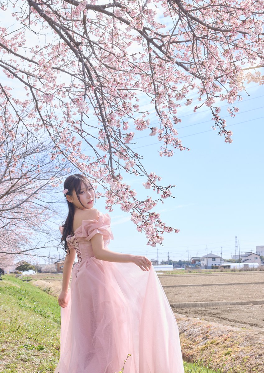 たなうさ📸 tweet media