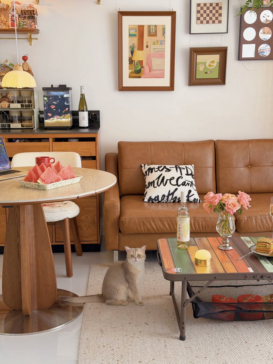 homeyzash's tweet photo. Every cozy corner needs a cat https://t.co/cWaC4jxy45