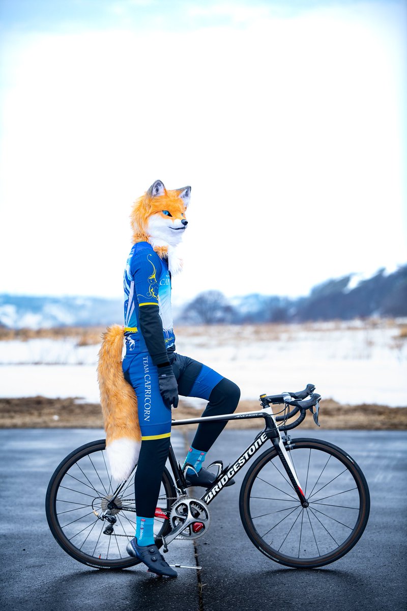 しゃとる（雷鳥の人）🦃🦊 tweet media