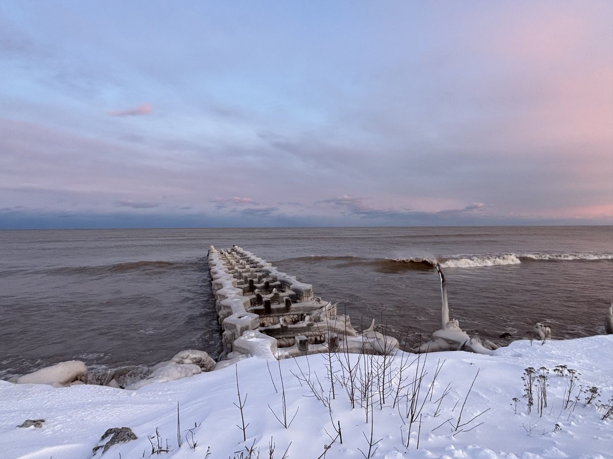 Shiphead Shawn tweet media