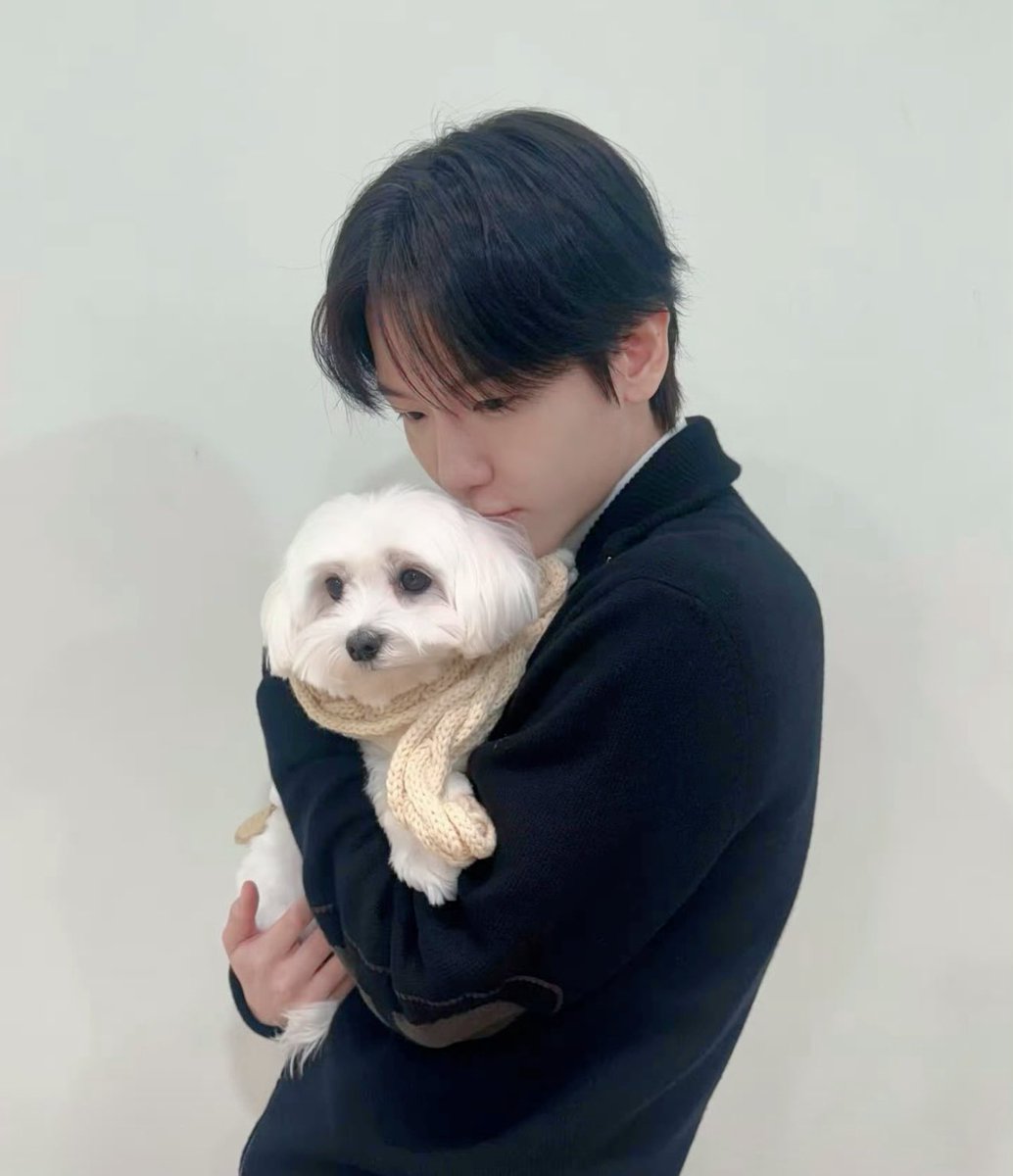 쿠키'.ㅅ'✨ tweet media