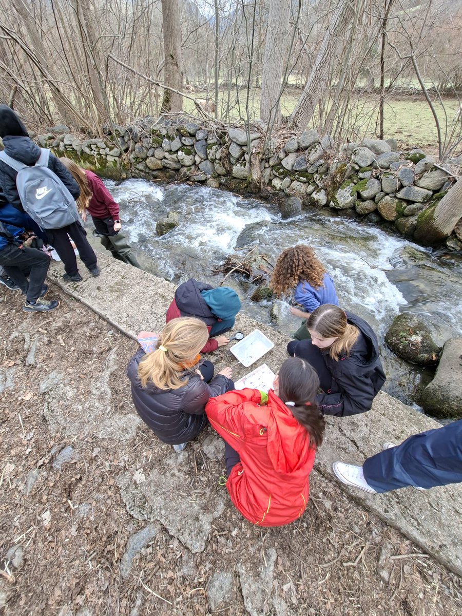 CdA Valls d'Àneu tweet media