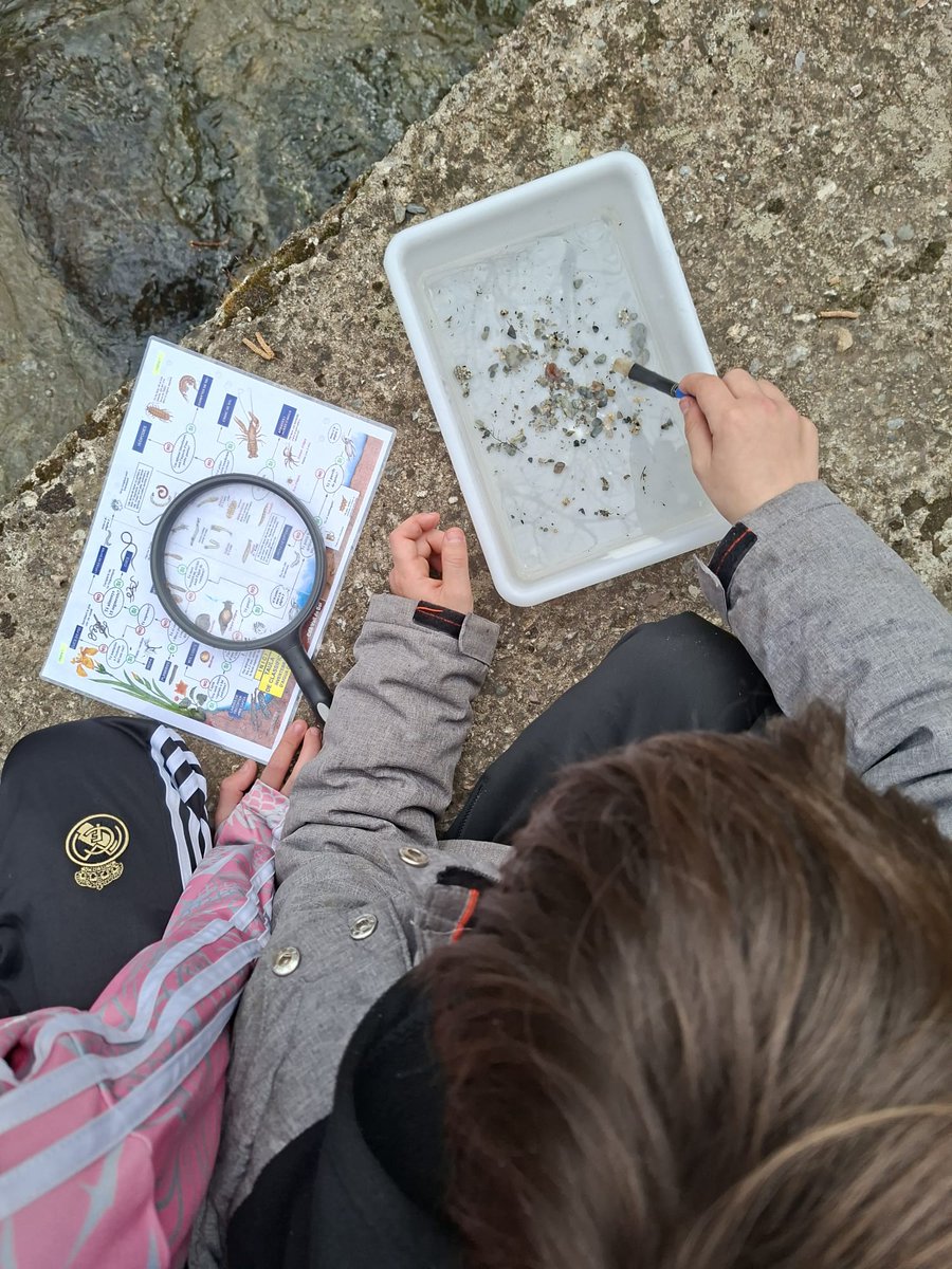 CdA Valls d'Àneu tweet media