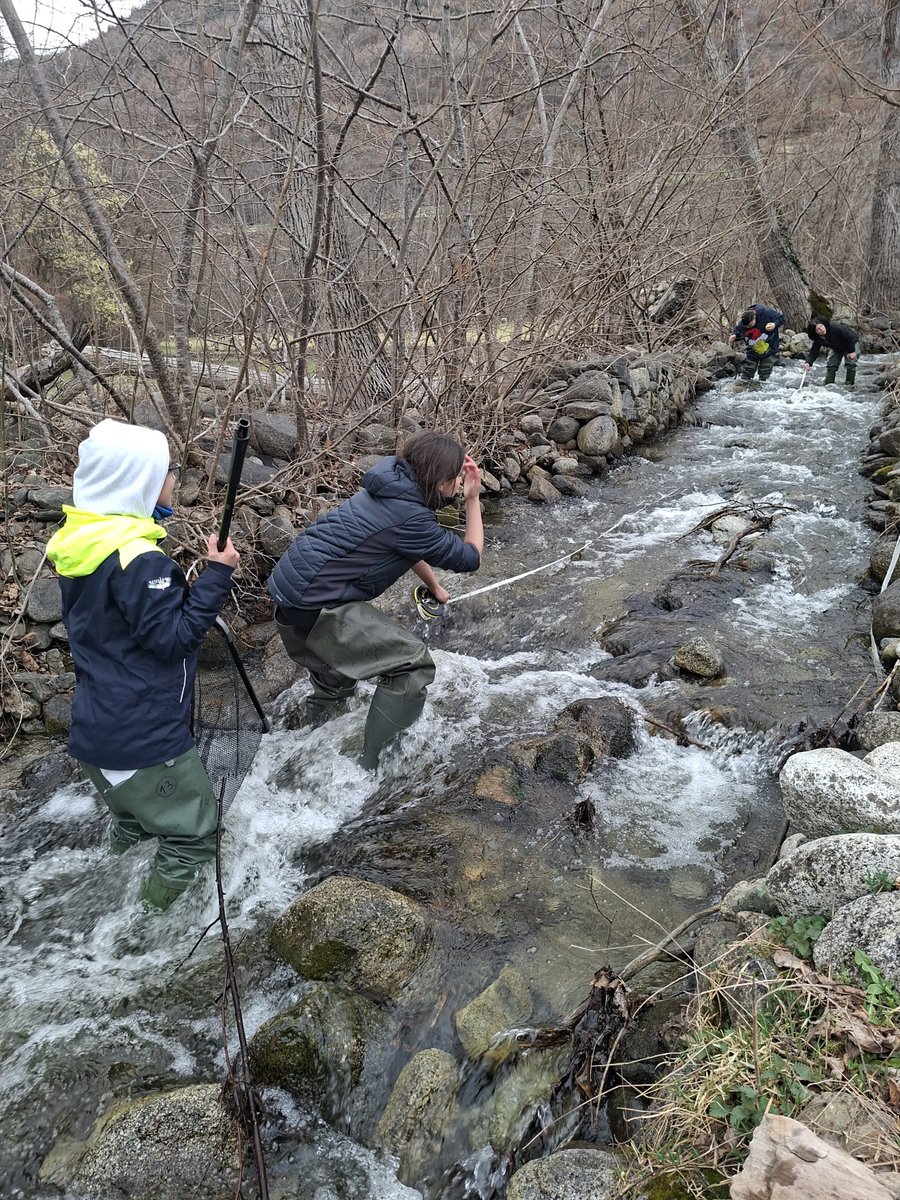 CdA Valls d'Àneu tweet media